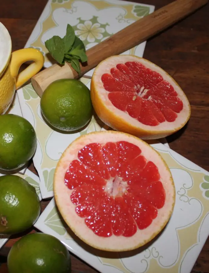 Grapefruit Mojito – ich träume mich nach Kuba