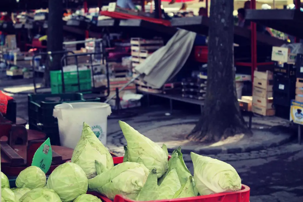Täglich außer sonntags: Markt in Ljubljana